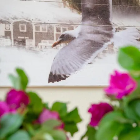 Haus-ankerlicht-app-syltrose Apartment Westerland